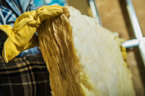 Best Specialized Insulation Services in Lomira, WI