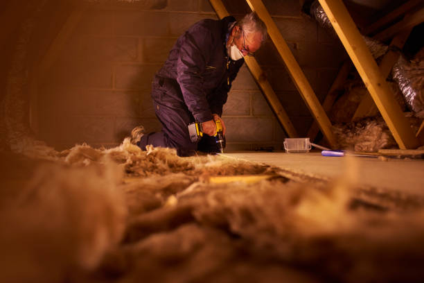 Best Eco-Friendly Insulation in Lomira, WI